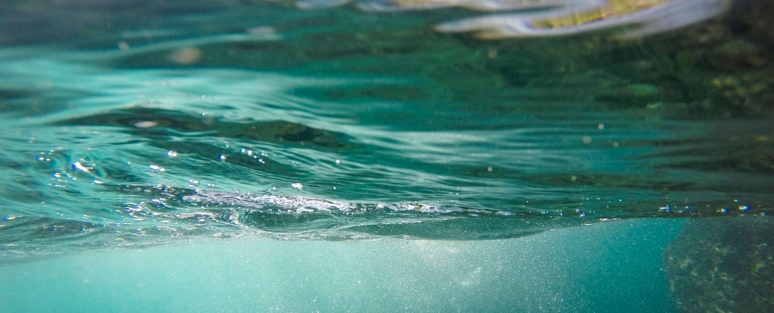 The Basics of Water Footprinting